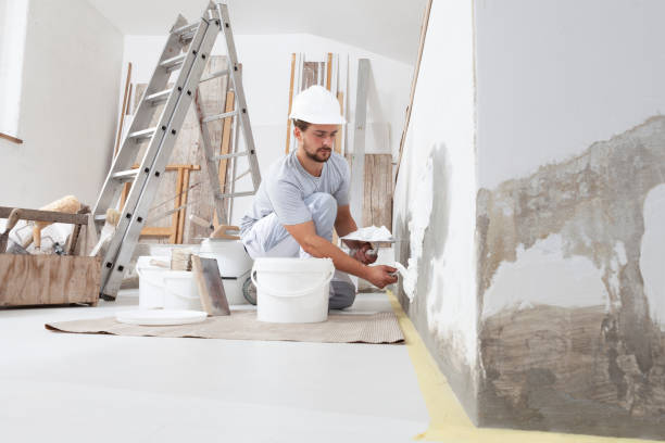 Best Fire-Damaged Drywall Repair  in Jacksboro, TX